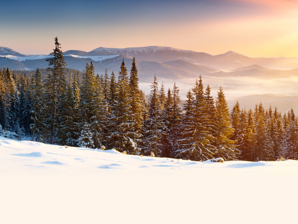 山川 雪松 雪地雪景幻灯片背景图片